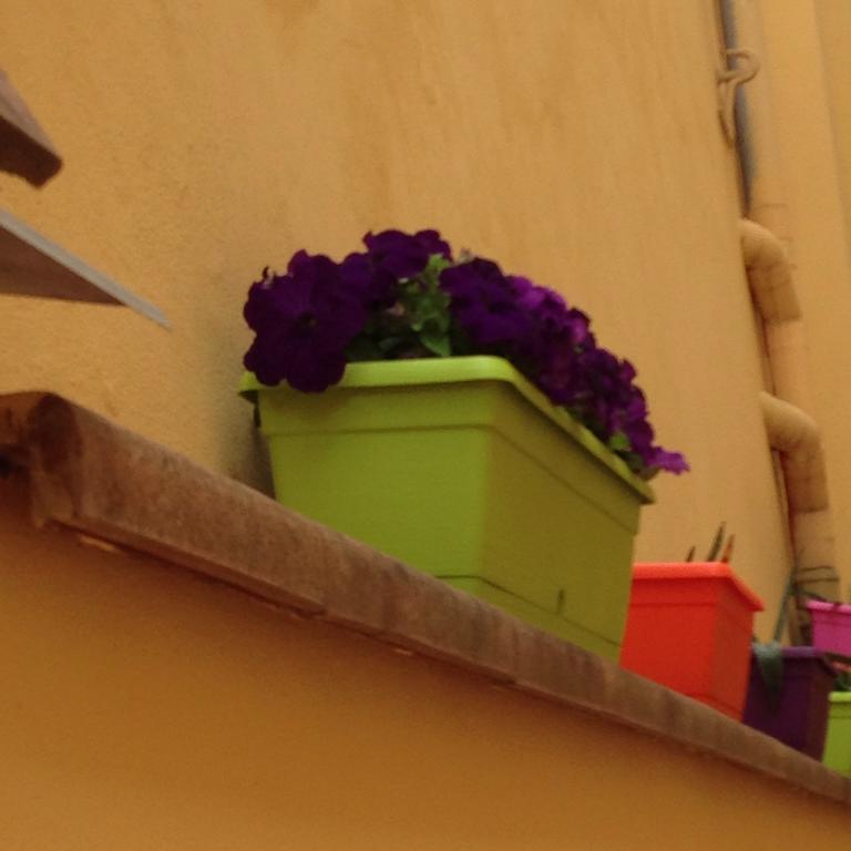 Cosy House Panzió Firenze Kültér fotó